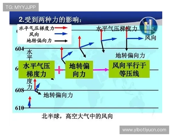 兴发体育：利用数字化技术优化运动数据分析，提升运动科学水平