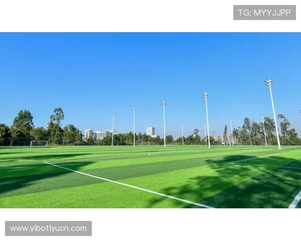 华亿体育平台优势分析：多元化体育赛事覆盖与优质客户服务体验