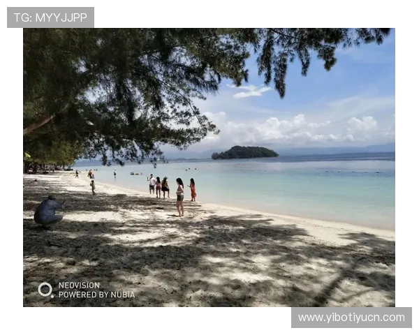 沙巴马来西亚队粉丝必看赛事资讯与支持指南帮助你更好关注球队